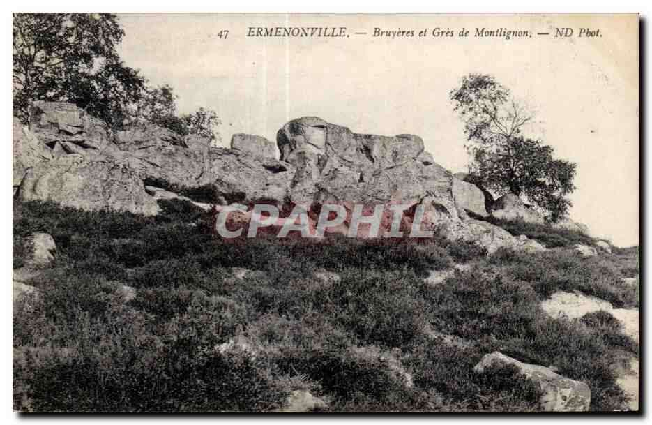 Ermenonville — Bruyères et Grès de Montlignon — ND Phot.