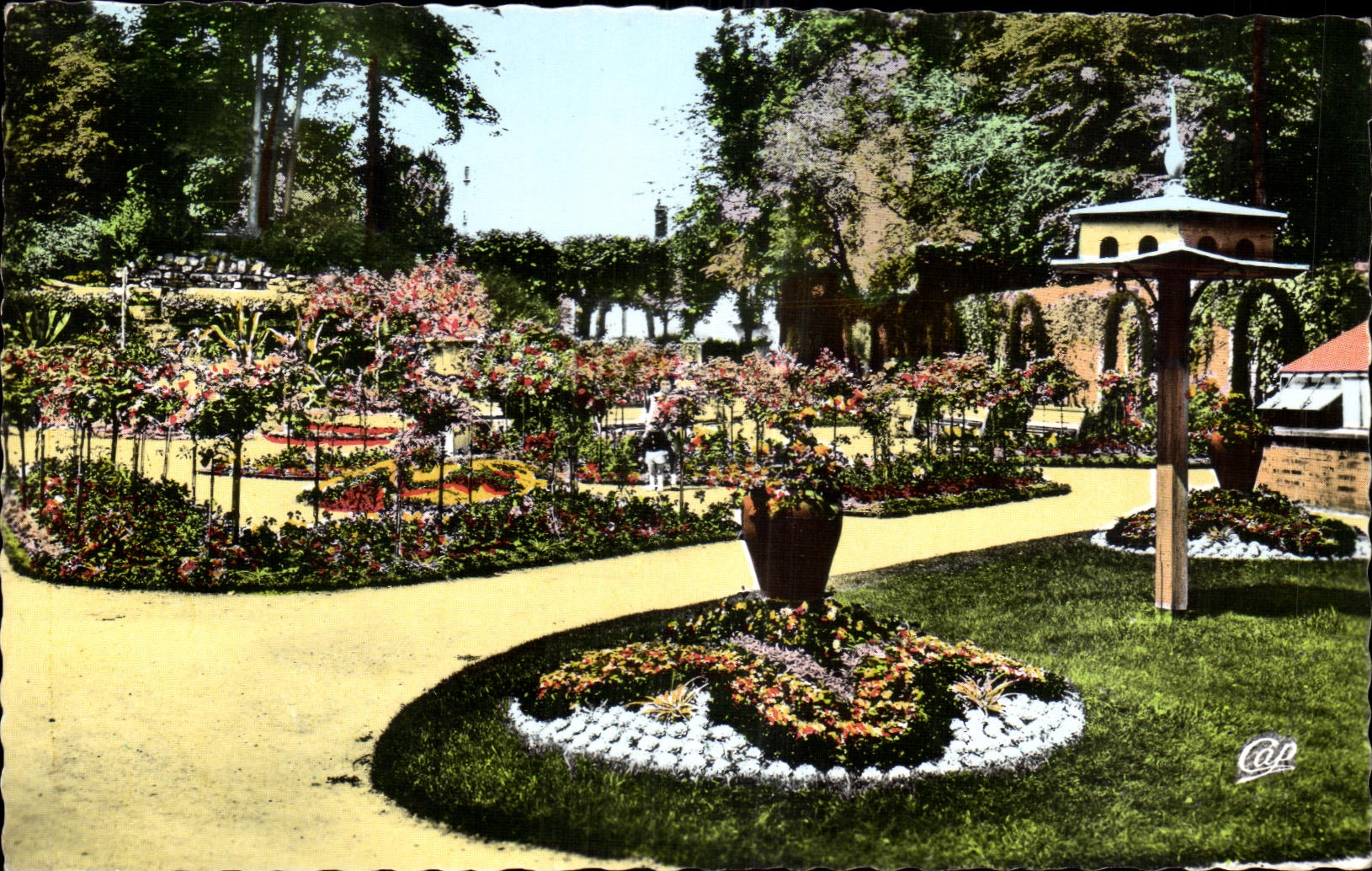CPA Alencon La Roseraie du Jardin Public