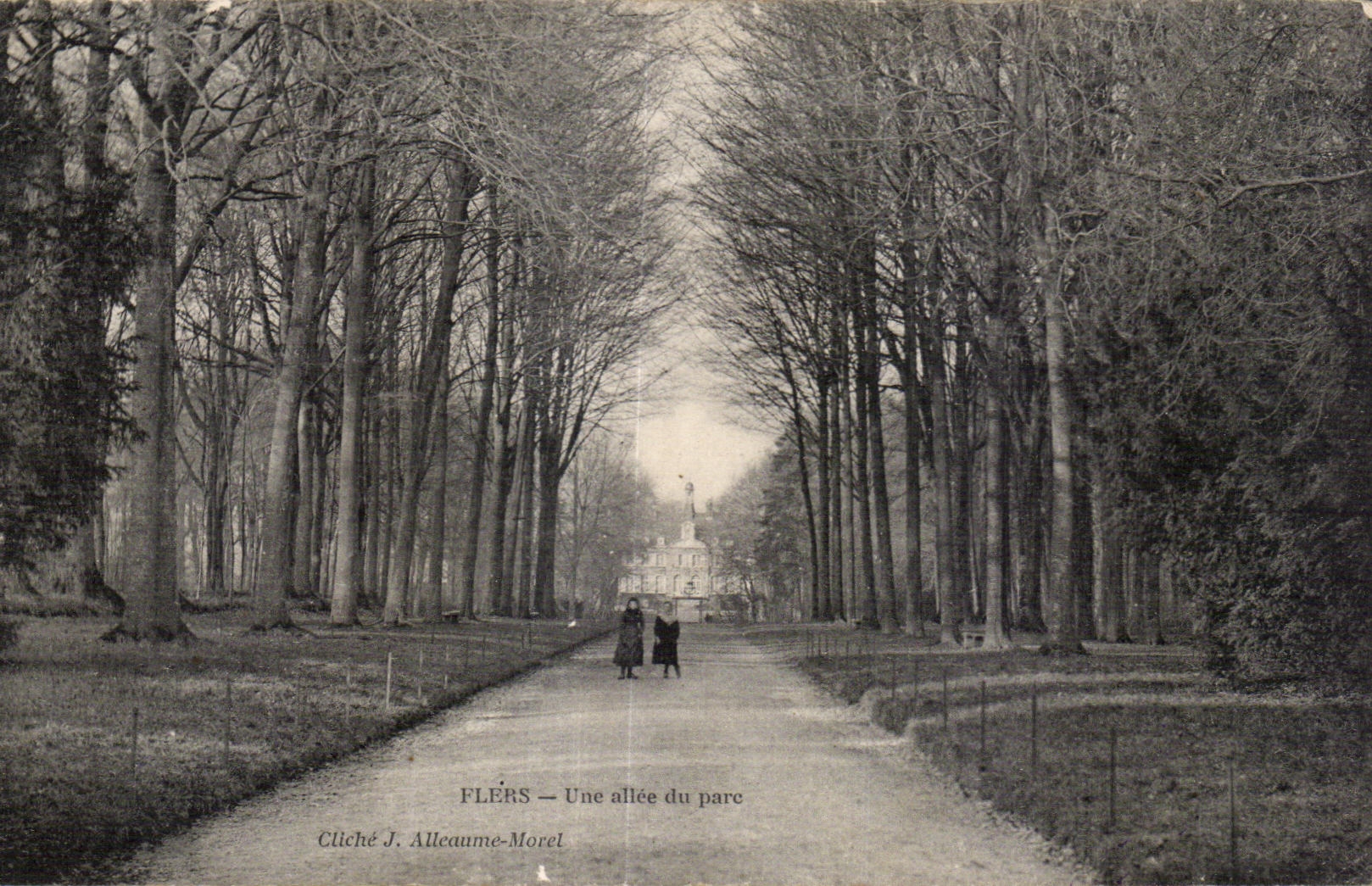 CPA Flers Une allee du parc