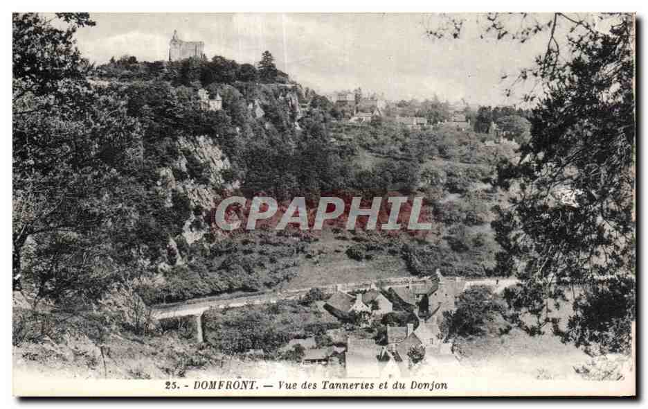 CPA Domfront Vue des Tannerles et du Donjon