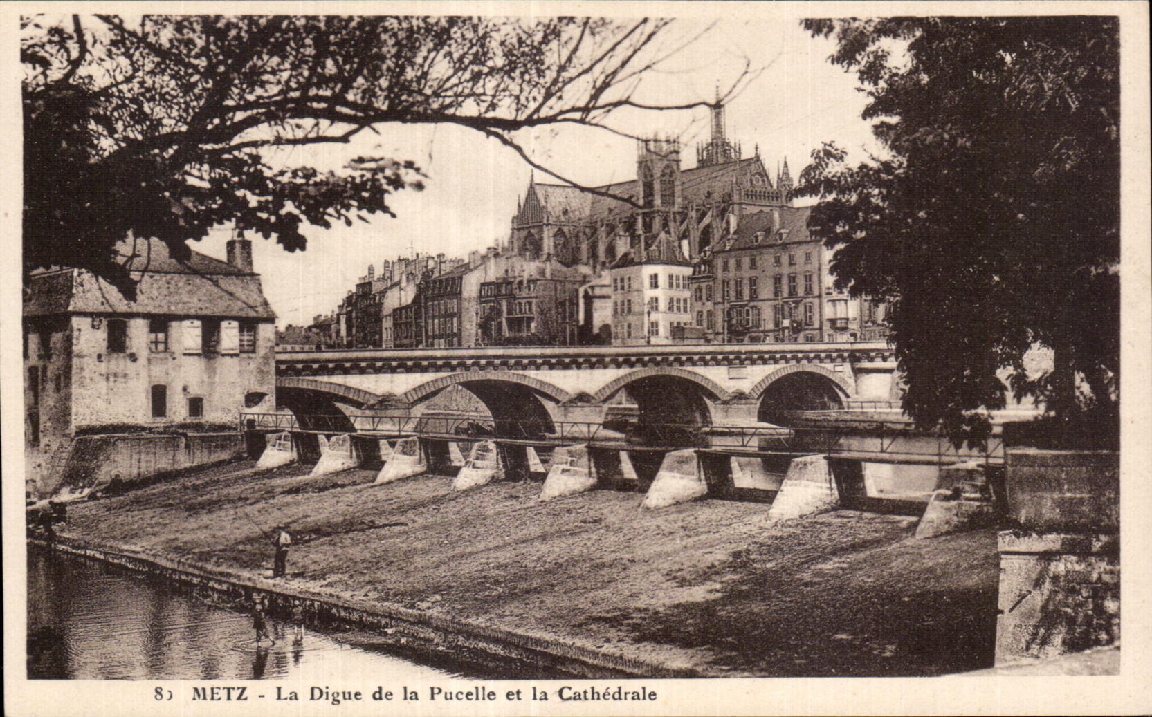Metz - La Digue de la Pucelle et la Cathédrale — éditeur Ch. Fischer, n°8