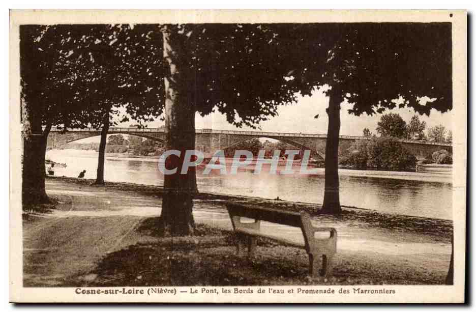 Cesne-sur-Loire (Nièvre) — Le Pont, les Bords de l'eau et Promenade des Marronniers