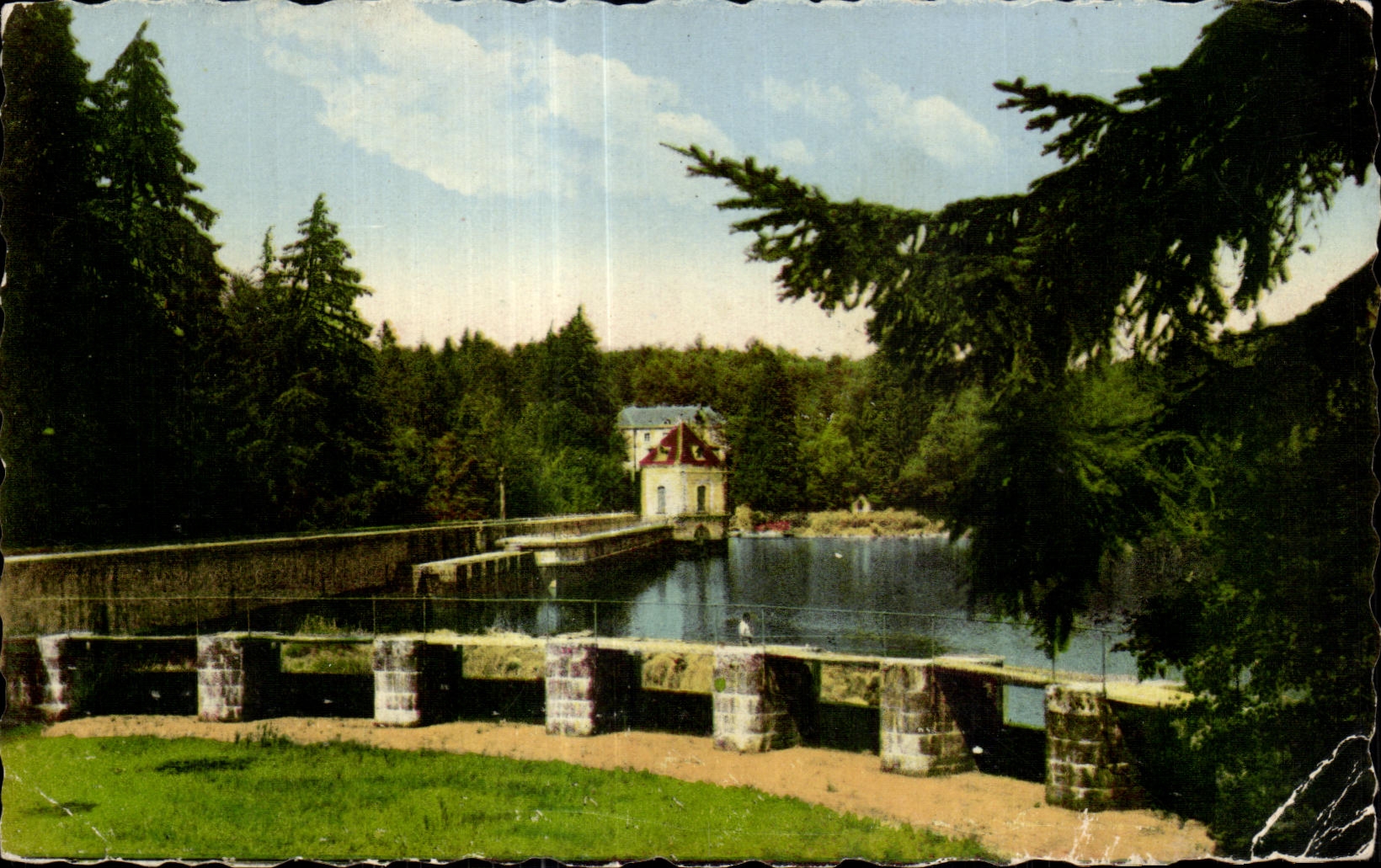 CPA Nievre Souvenirs des Settons Les Settons Parc Montsauche 