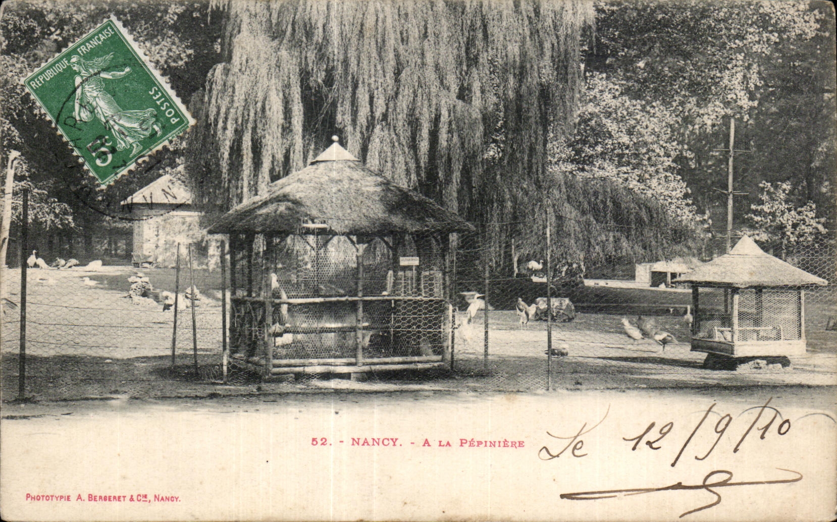 CPA Nancy A La pepiniere Oiseaux 