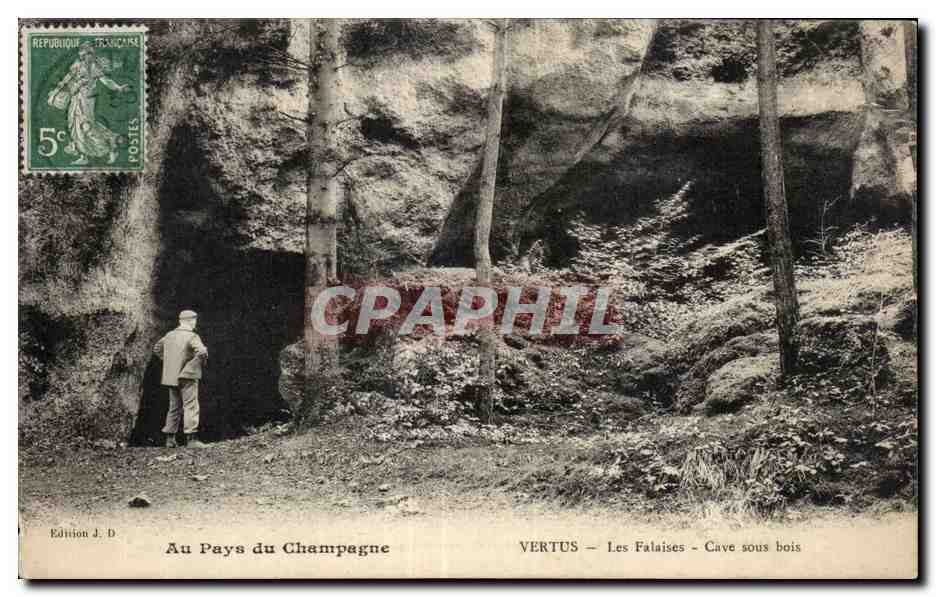 Vertus - Les Falaises - Cave sous bois — Edition J. D.