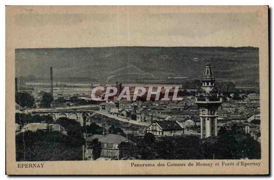 CPA Epernay panorama des coteaux de moussy et foret d Epernay