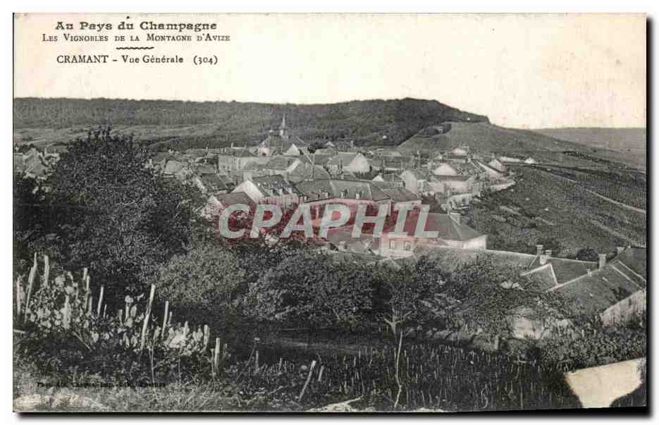 Cramant — Vue Générale — Les Vignobles de la Montagne d'Avize (304)