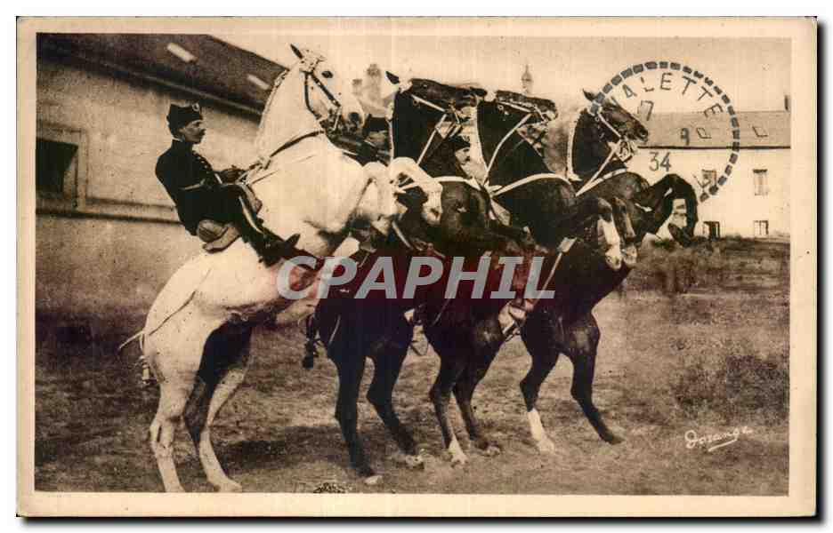 CPA Saumur Ecole de cavalerie Courbette Cheval Horse