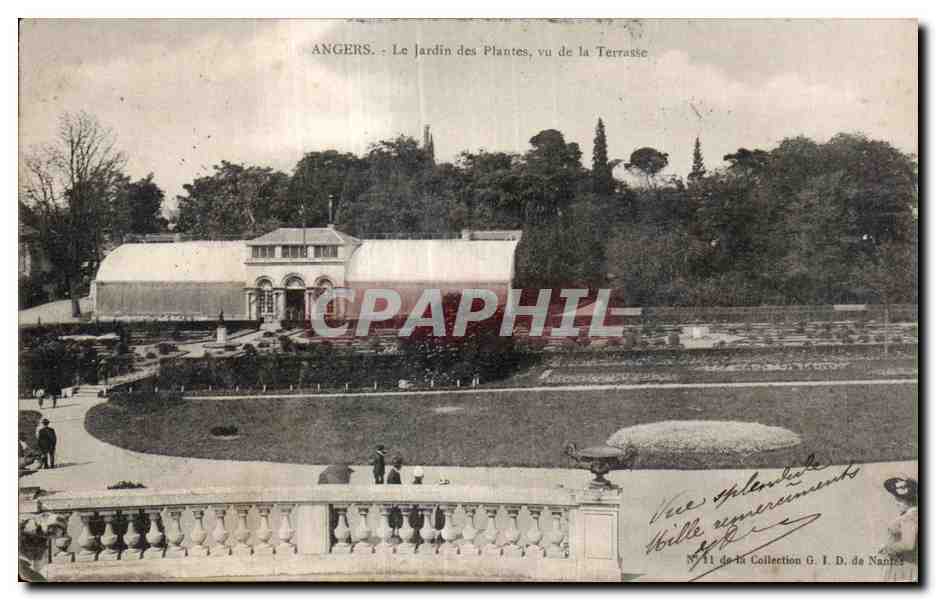CPA Angers Le jardin des plantes vu de la terrasse 