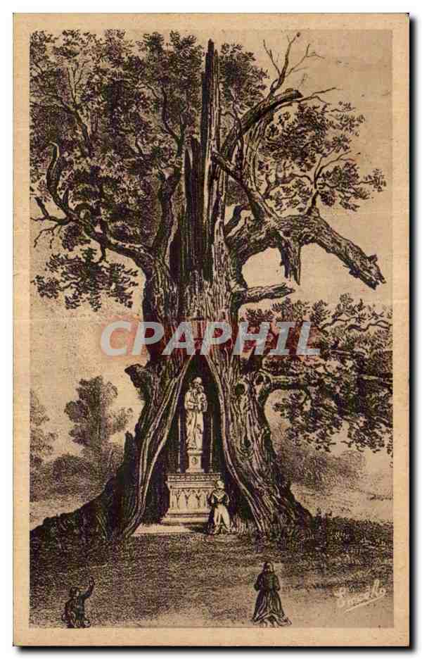 CPA Villedieu Pelerinage de st joseph du chene contour du chene 18 m environ