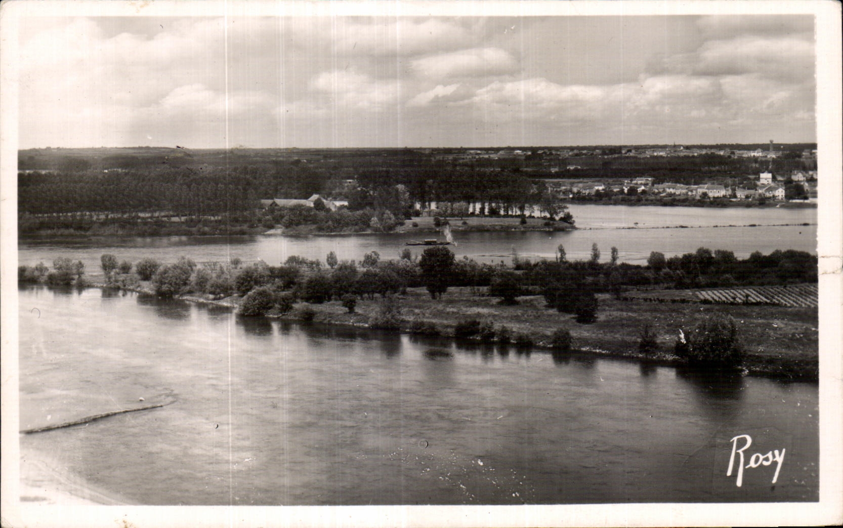 CPSM Saint Florent le Vieil Vue sur les iles de la Loire vers la Meilleraie 