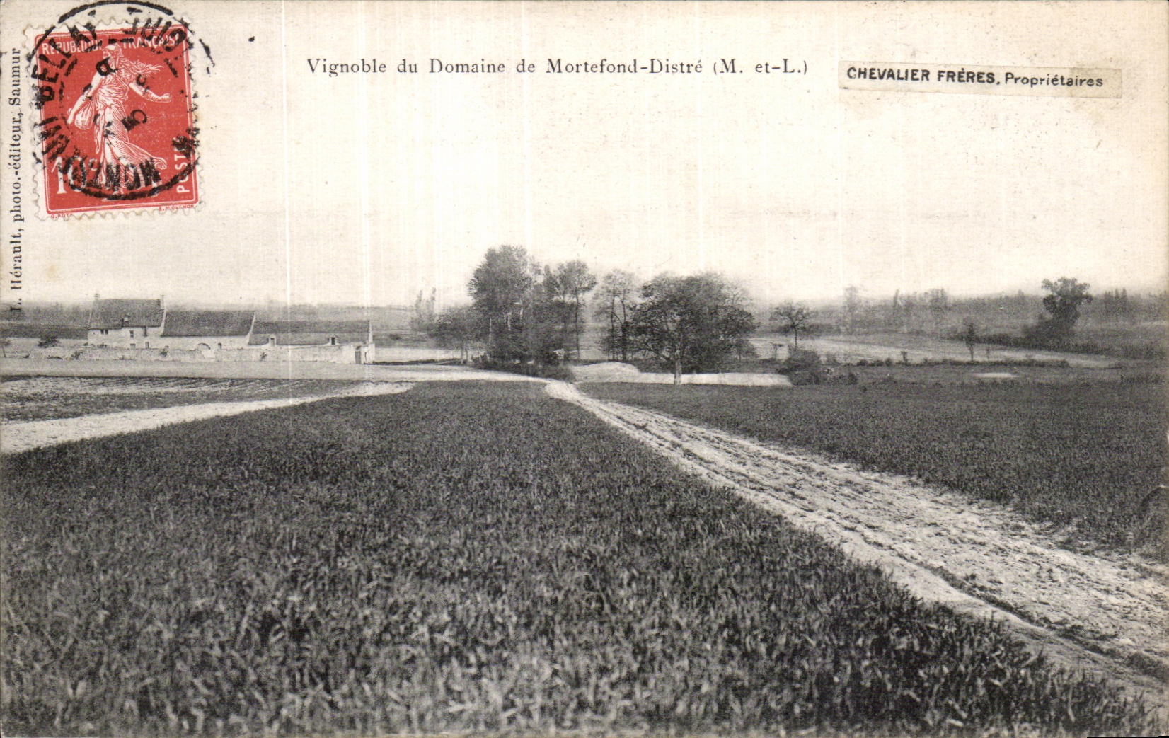 CPA Vignoble du Domaine de Mortefond Distre