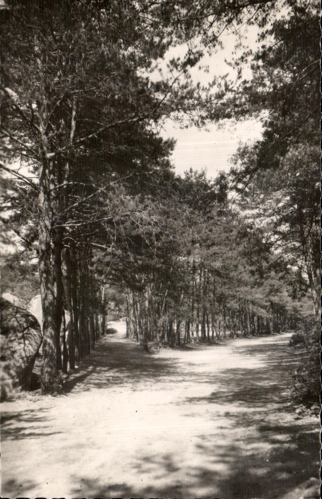 CPA Malesherbes (Loiret) Buthiers Chemin d Auxy