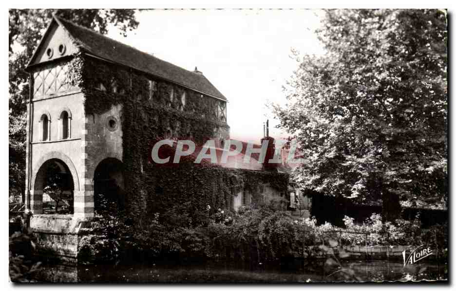 CPA Les Merveilles Du Val De Loire Olivet (Loiret)