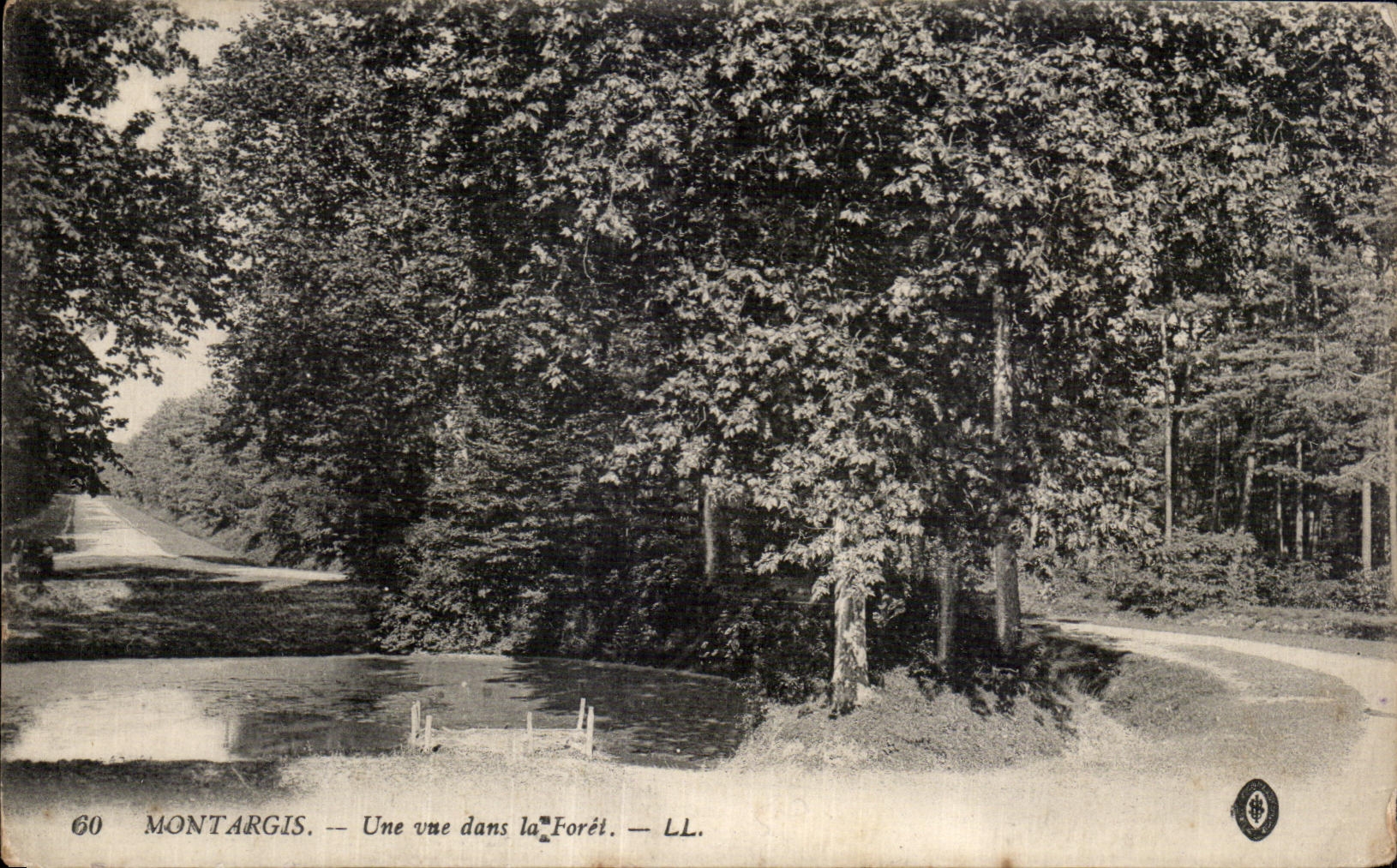 CPA Montargis Une vue dans la Foret