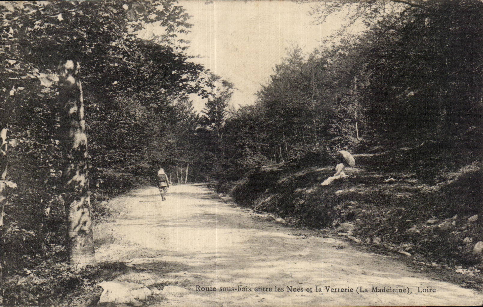 Route sous-bois entre les Noës et la Verrerie (La Madeleine), Loire — CPA éditée par Nino Lathy-Besseder, n°42