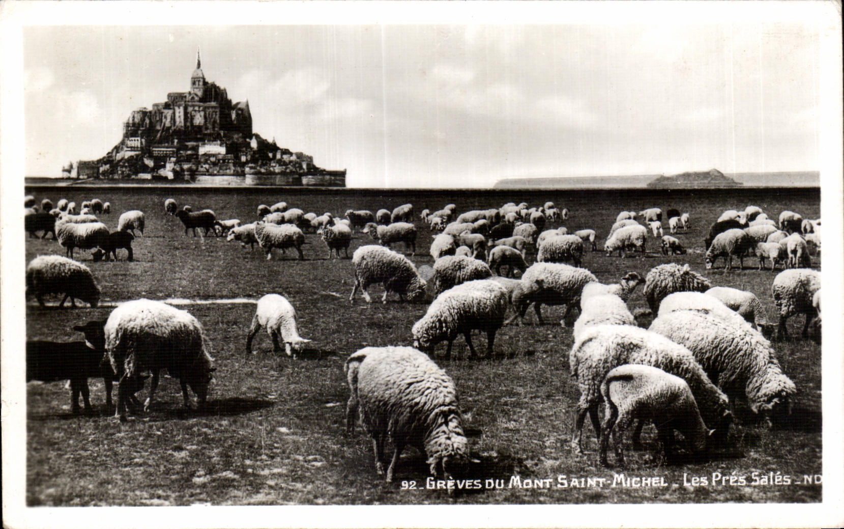 Grèves du Mont Saint-Michel — Les Prés Salés — Real-Photo