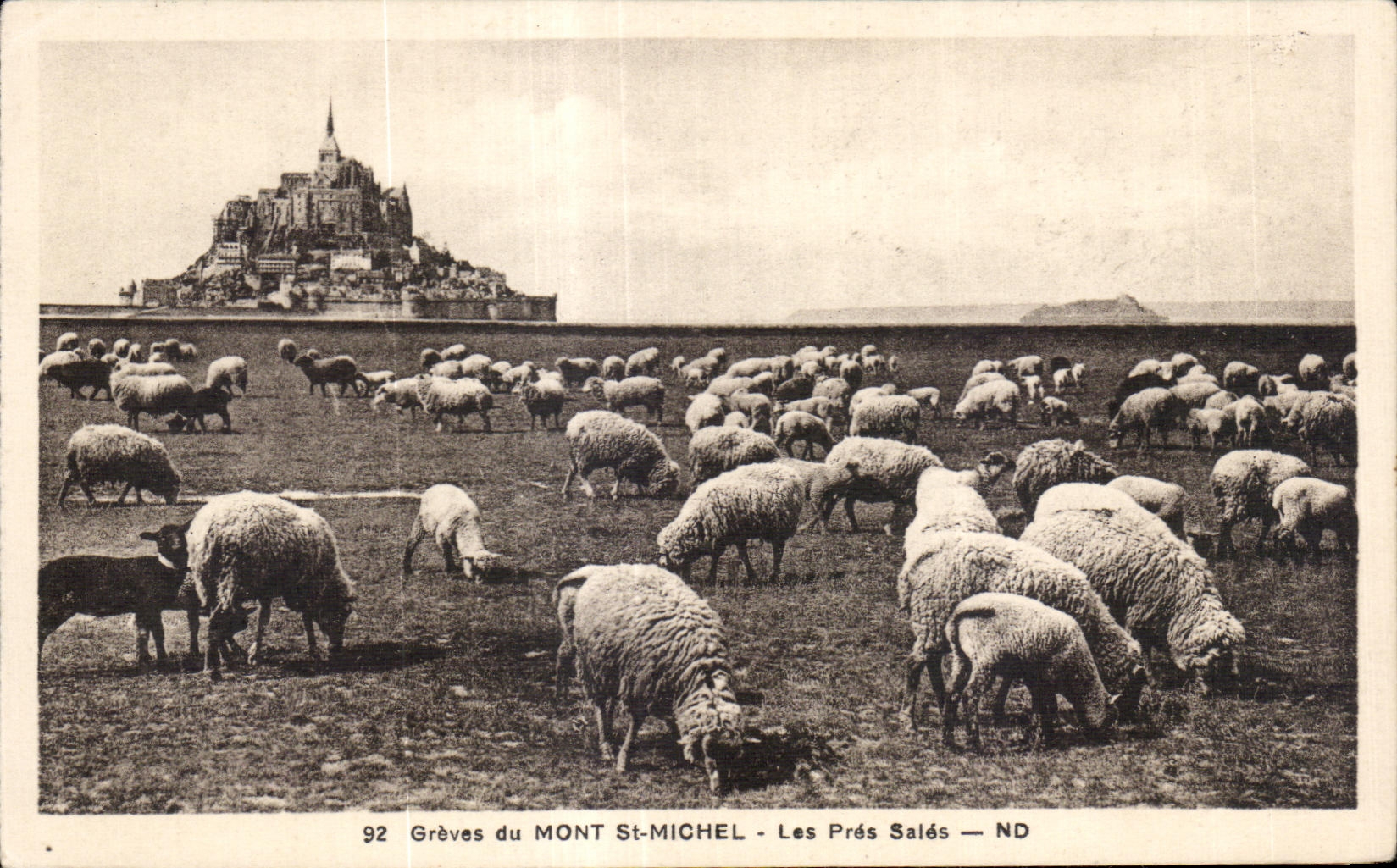 CPA Groves du mont st michel les pres sales 