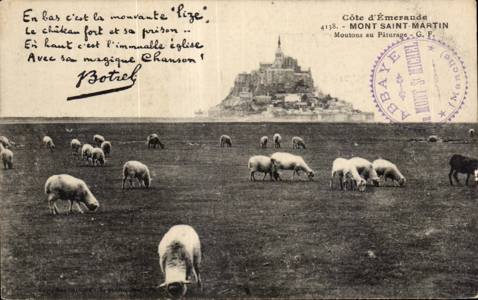Mont Saint-Michel — Moutons au pâturage — G.F. - Côte d'Émeraude