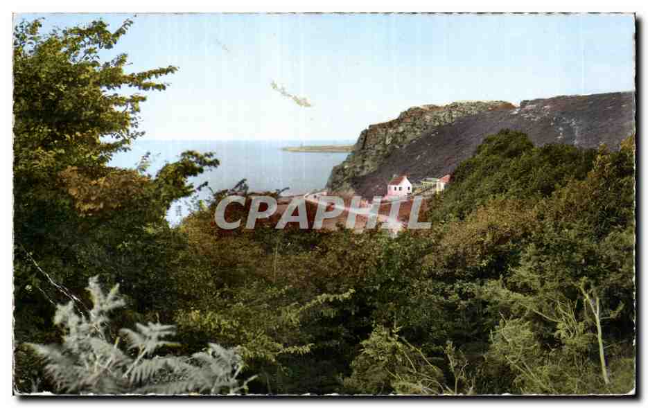 CPA Route Touristique Cherbourg Fermanville Entre Bretteville et Maupertus