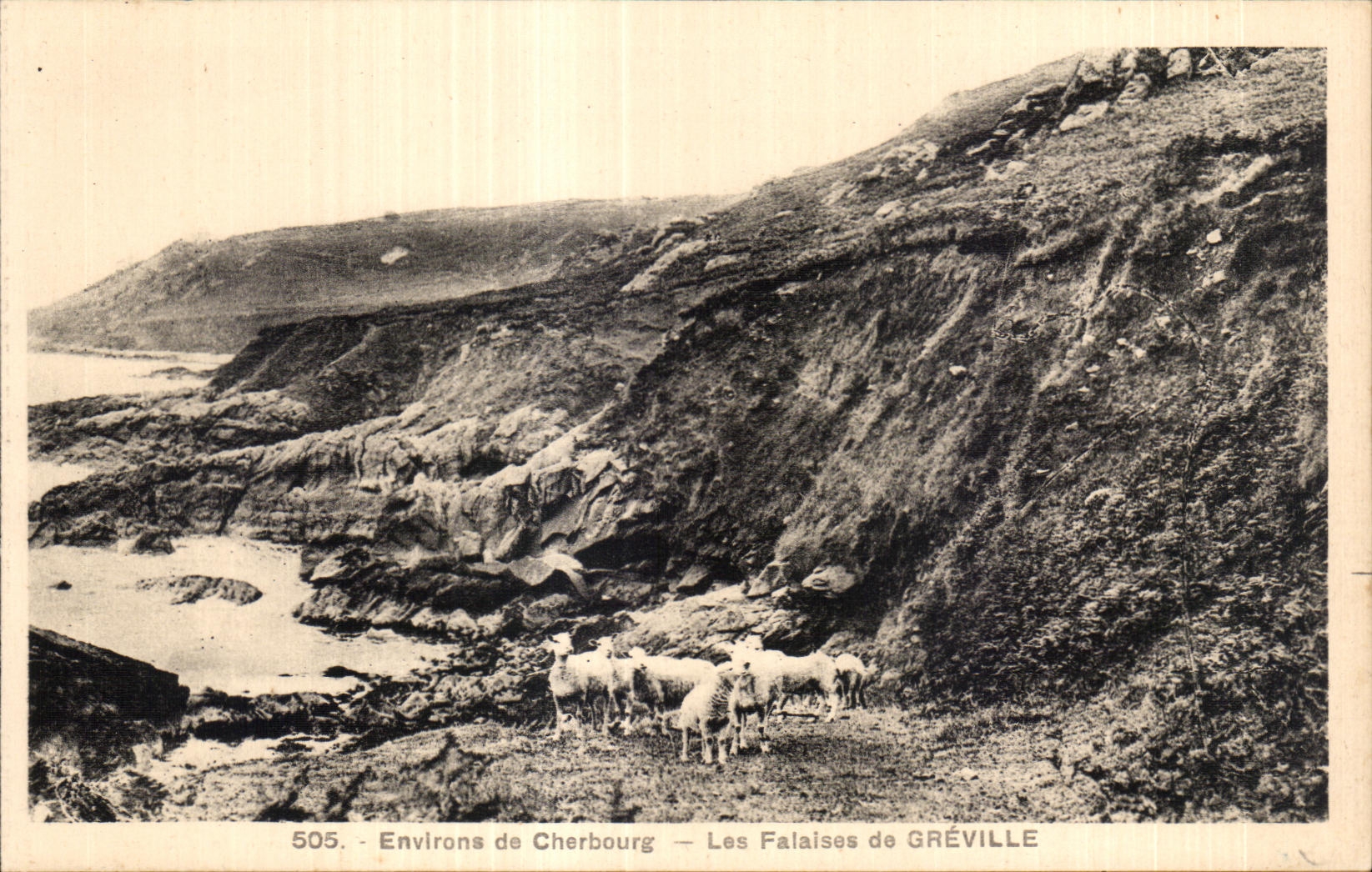 Les Falaises de GRÉVILLE — Environs de Cherbourg — n° 505