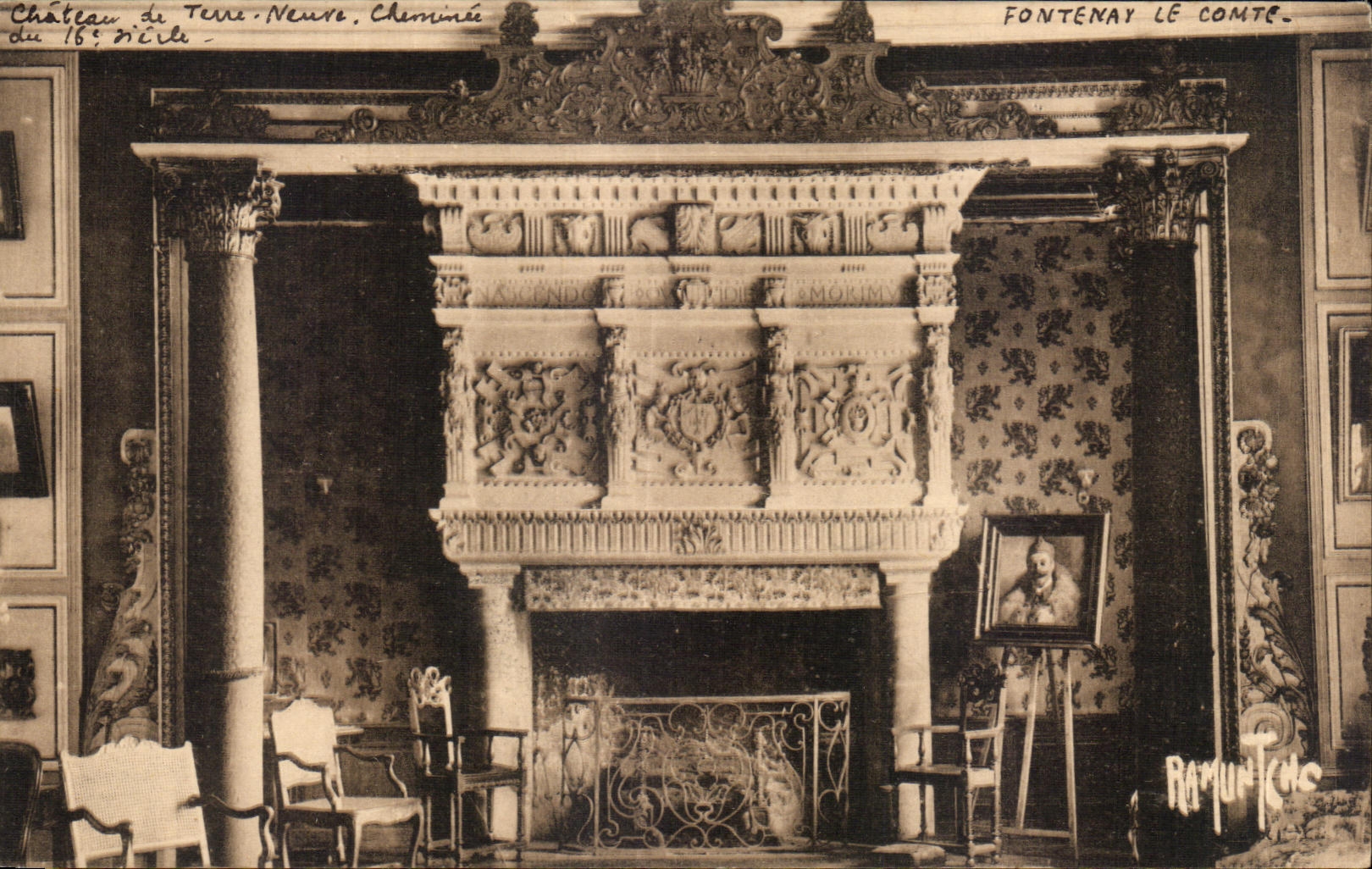 Château de Terre Neuve, Cheminée — Fontenay-le-Comte, éditeur Raymond Bergevin, n° 4209