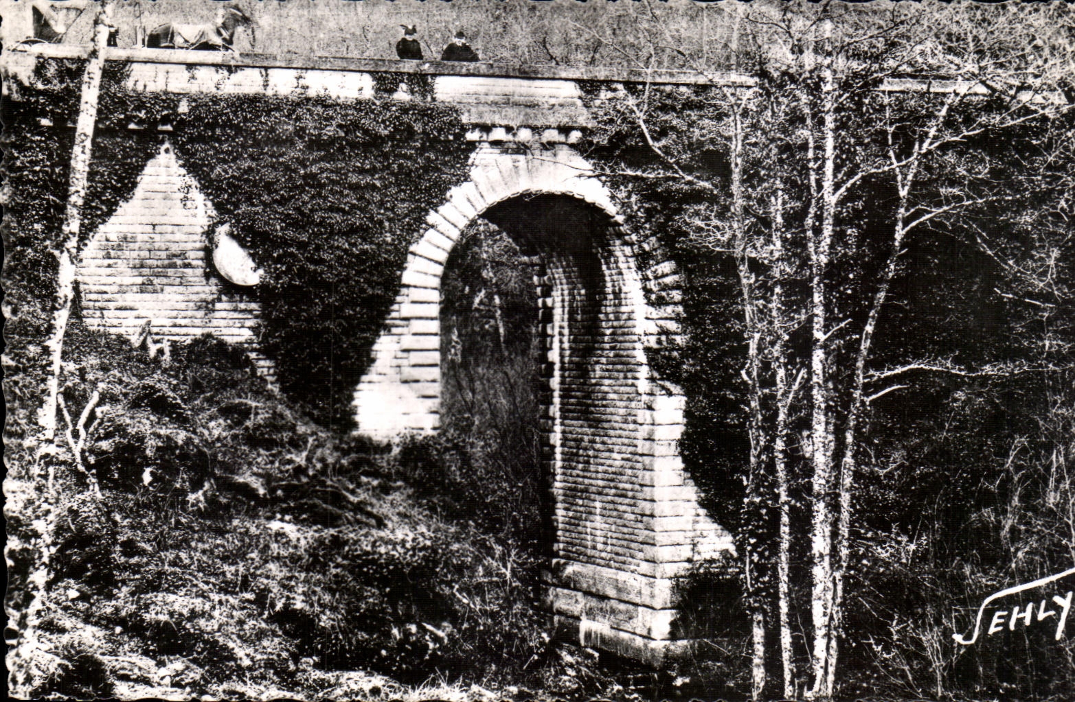 Pont du Déluge — Forest of Mervent — Jehly-Poupin Editions