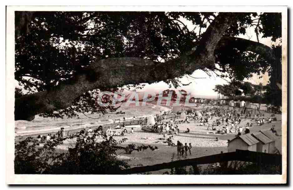 CPA Noirmoutier Vue generale de la plage des dames