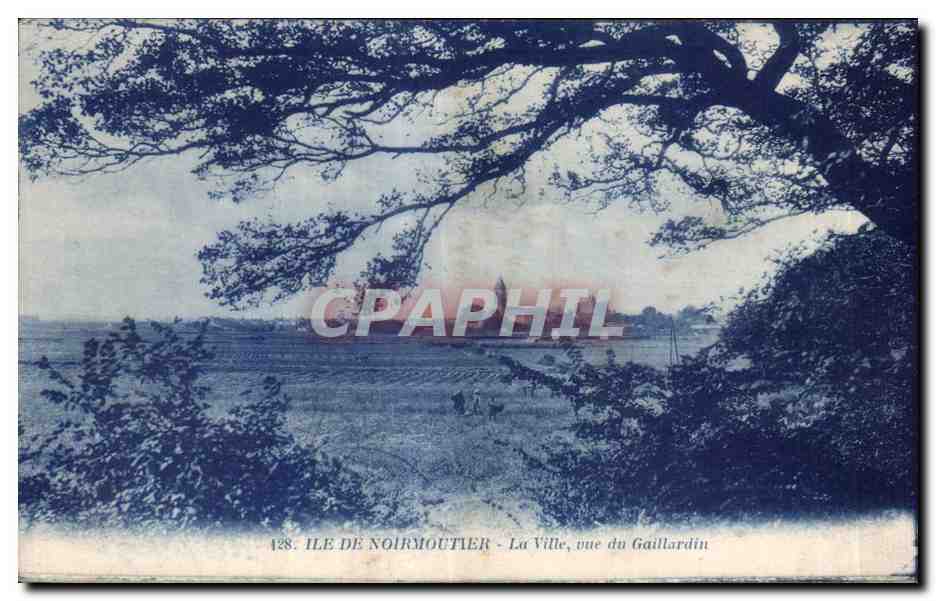 CPA Noirmoutier La ville vue du gaillardin