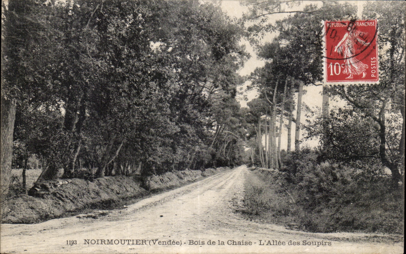 Noirmoutier (Vendée) - Bois de la Chaise - L'Allée des Soupirs — éditeur 1193