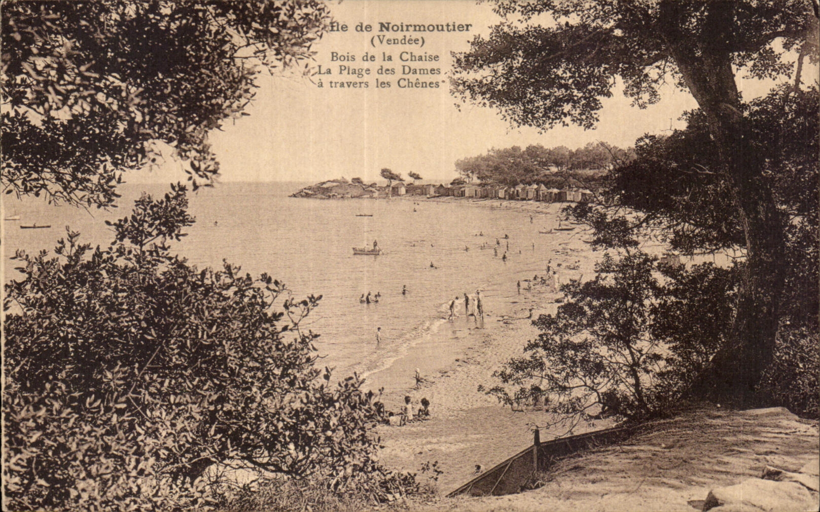 Île de Noirmoutier (Vendée) — Bois de la Chaise, La Plage des Dames, à travers les Chênes — Éditeur Martin & Cie, n°85