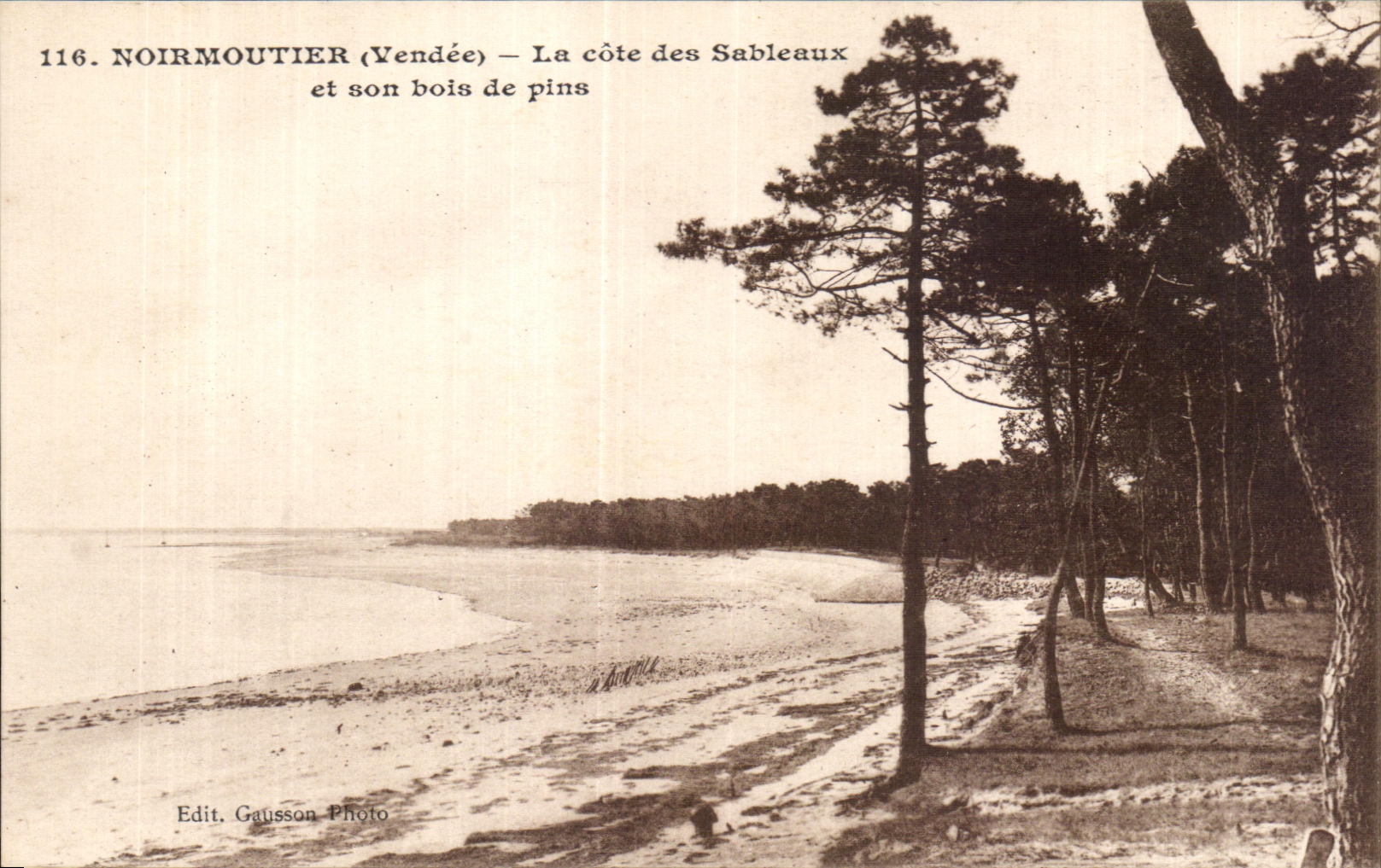 Noirmoutier (Vendée) — La côte des Sableaux et son bois de pins — Edit. Gausson Photo