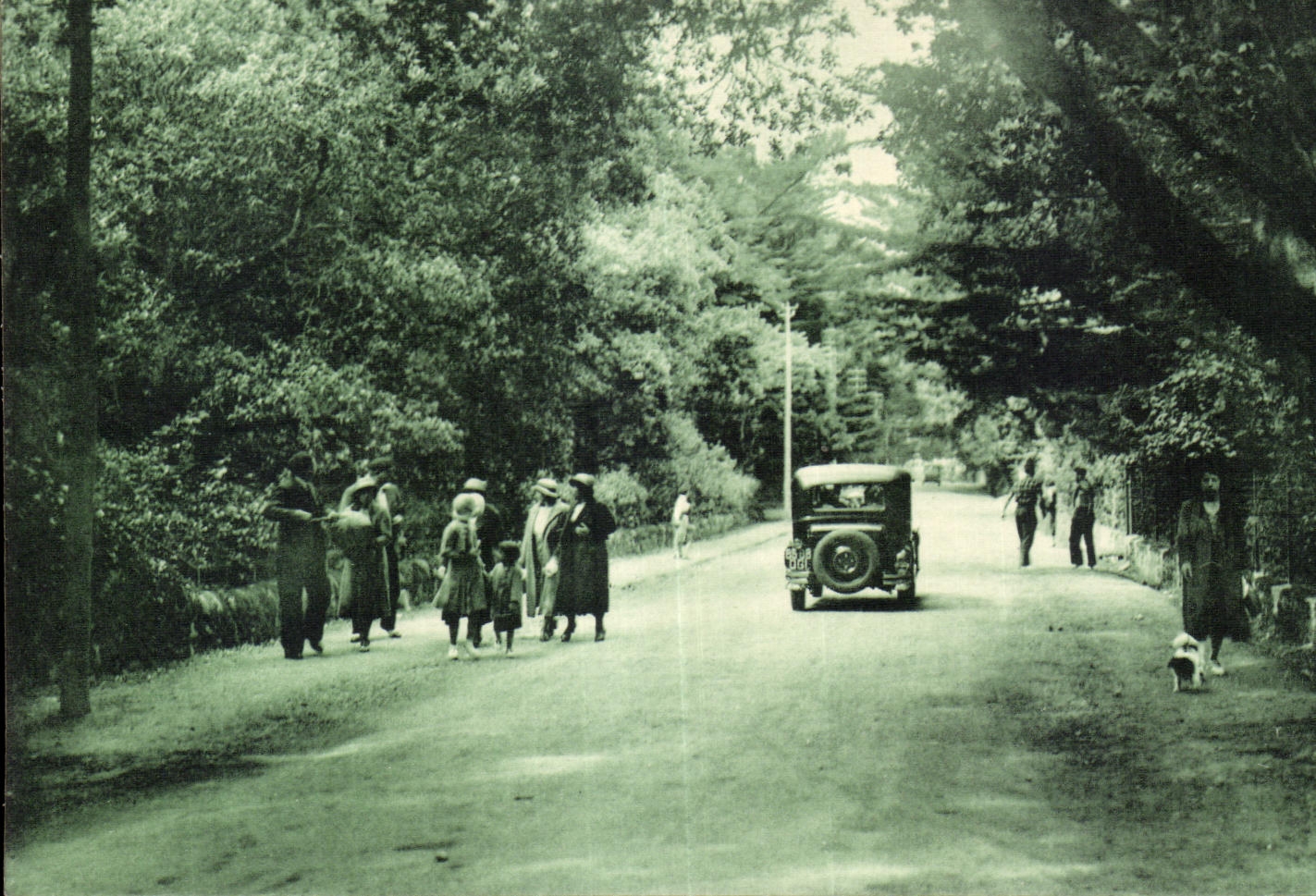L'Île de Noirmoutier — Le Bois de La Chaize — Avenue de la Plage — Éditions Artistiques Raymond Pergevin, La Rochelle, n° 5715
