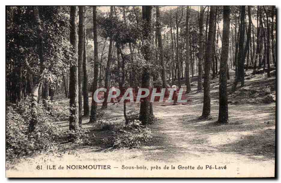 Île de Noirmoutier — Sous-bois près de la Grotte du Pé-Lavé