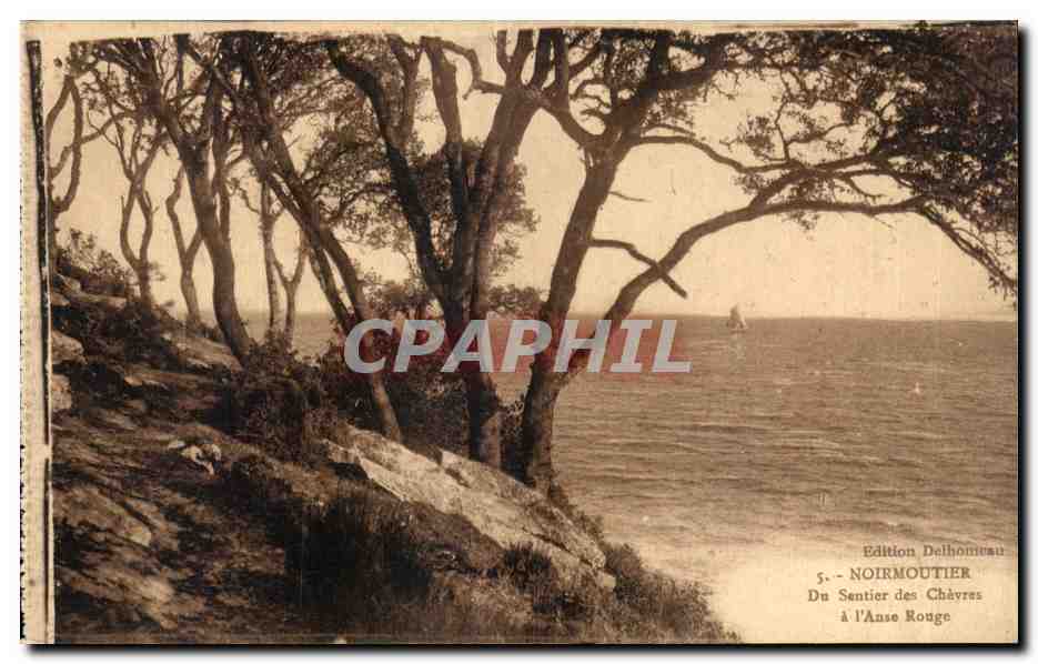 Noirmoutier - Du Sentier des Chèvres à l'Anse Rouge — Édition Delhommeau, n°5