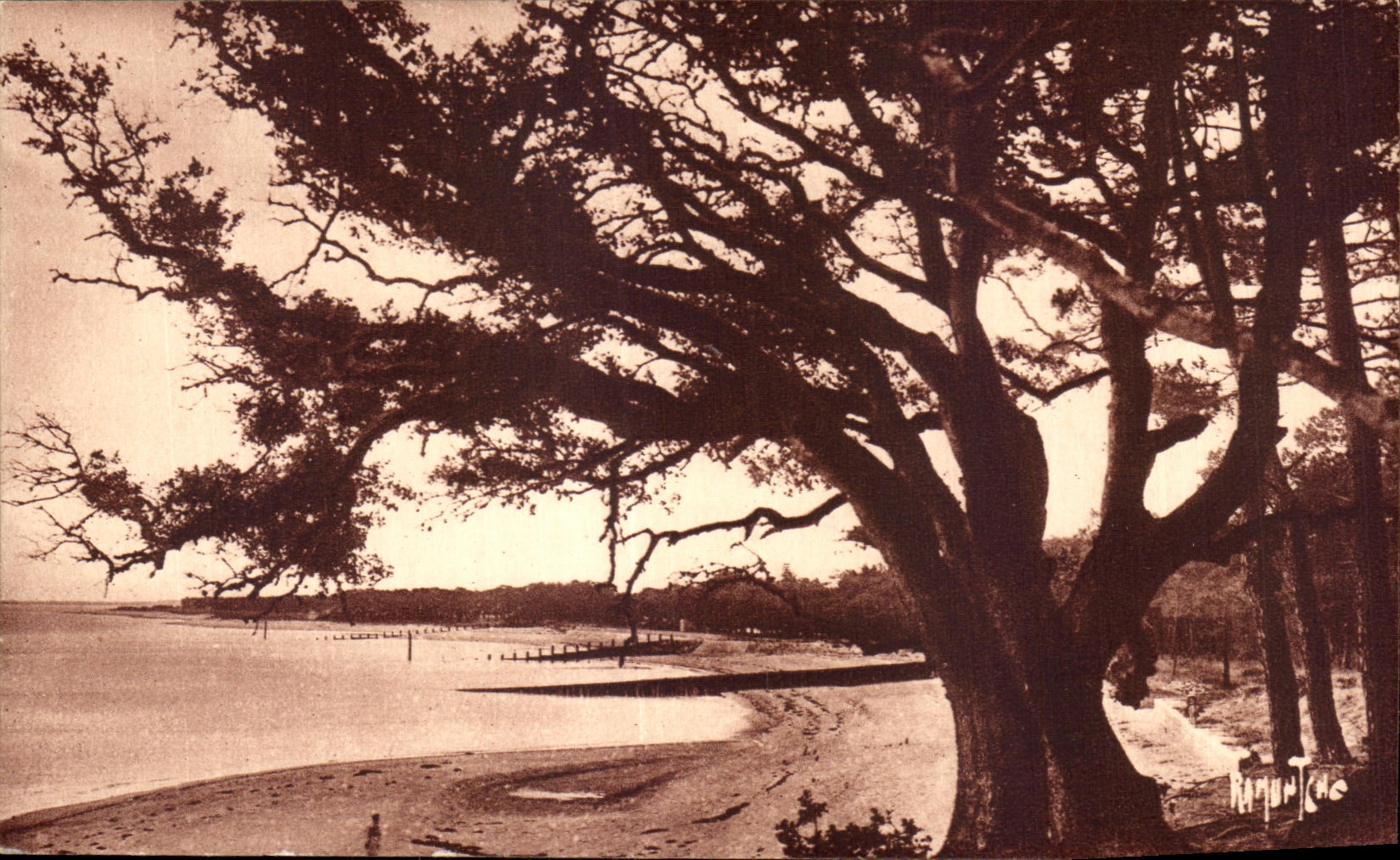 L'Île de Noirmoutier — Plage et défenses du Bois de la Chaise — Éditions Artistiques Raymonde Bergevin