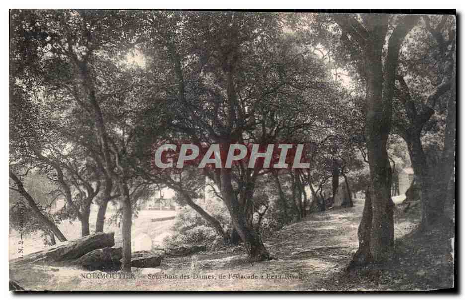 CPA Noirmoutier Sous bois des Dames de l estacade de Beau rivage 