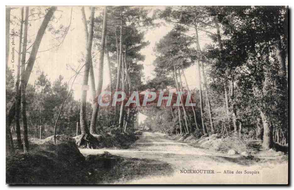 Noirmoutier — Allée des Soupirs — Coulton, phot. & édit.
