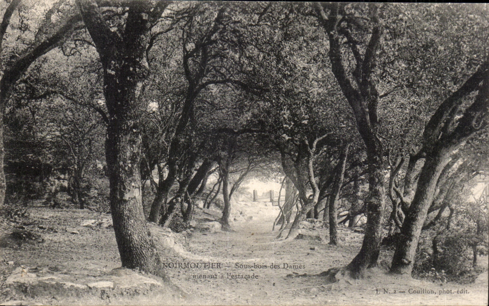 Noirmoutier — Woodland of the Ladies Leading to the Estacade — N. 2 — Couillton, phot.-edit.