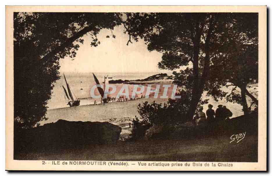 CPA Noirmoutier Ile de Vue artistique prise du Bois de la Chaize