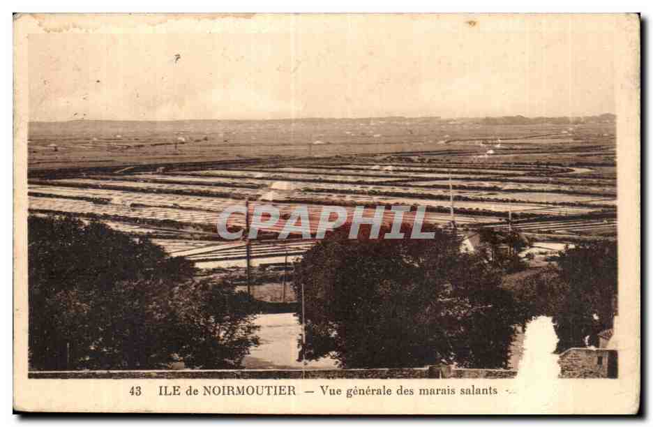 CPA Noirmoutier ILe De Vue generale des marais salants