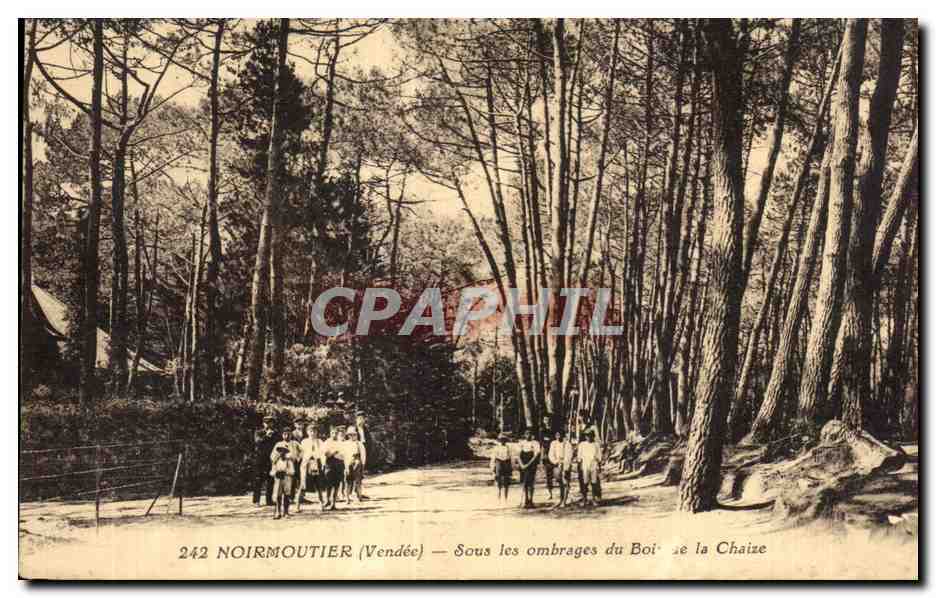 CPA Noirmoutier Sous les ombrages du Bois de la Chaize