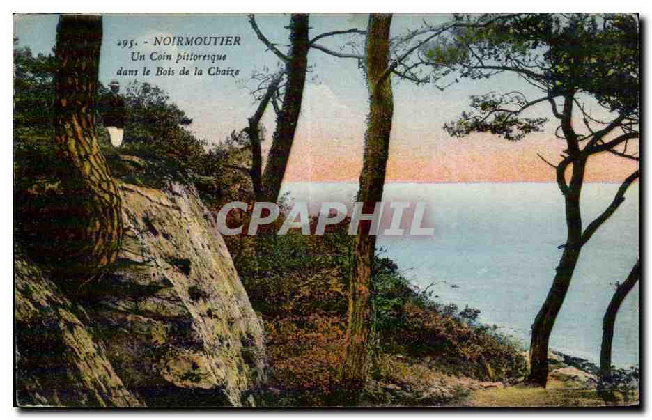 Noirmoutier — Ein pittoreskes Eckchen im Bois de la Chaize — J. Nonnis, Verlag, 18, Avenue du Coteau, Nantes