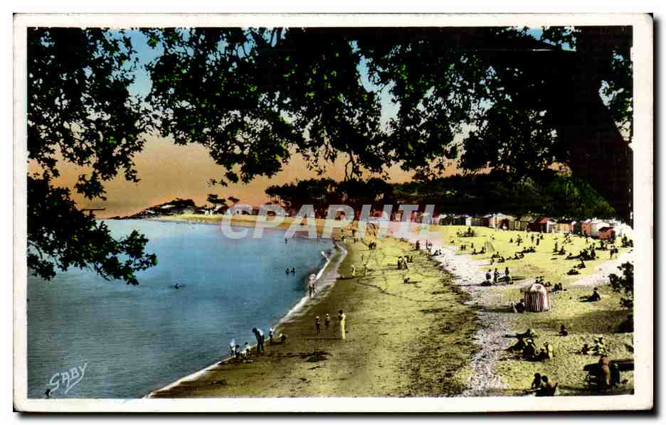 CPA L Ile De Noirmoutier La Plage des Dames