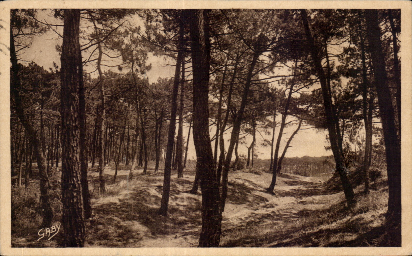 La Forêt — La Tranche-sur-Mer (Vendée) — Éditions Gaby