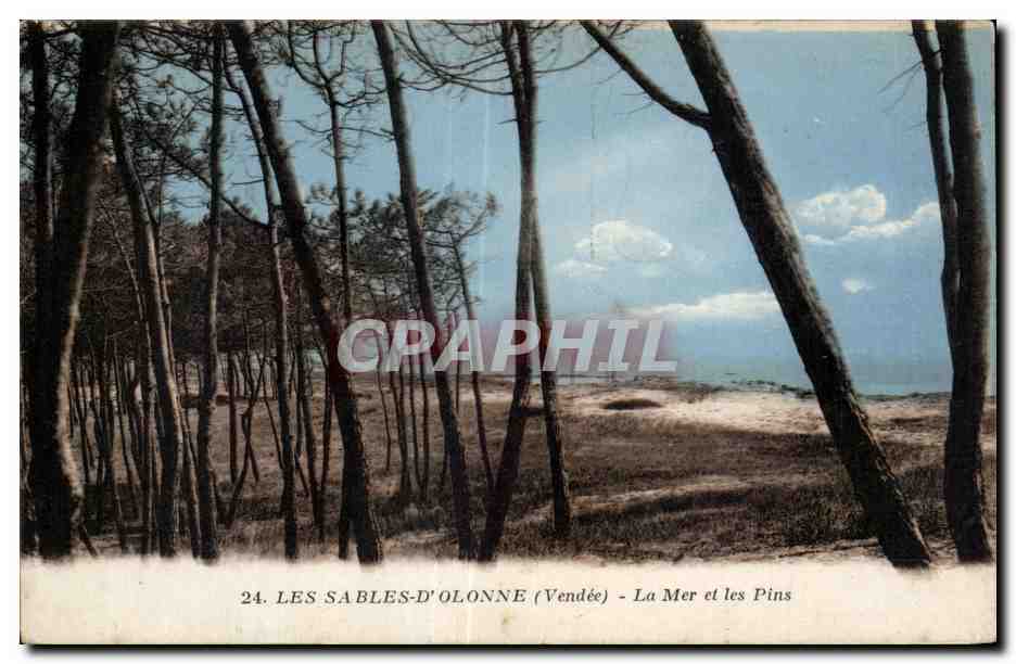Les Sables-d'Olonne (Vendée) — La Mer et les Pins — Phototype Jehly-Pouin, Mortagne