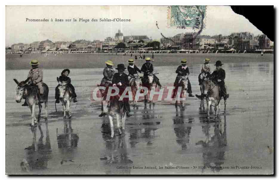 CPA Promenades a Anes sur la plage des Sables d Olonne Donkey