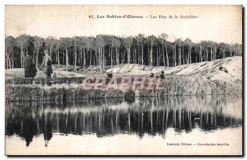 CPA Les sables d Olonne les pins de la rudeliere