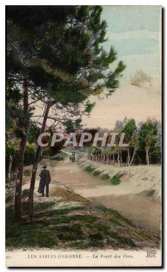 Les Sables-d'Olonne — La Forêt des Pins — IND. Phot.