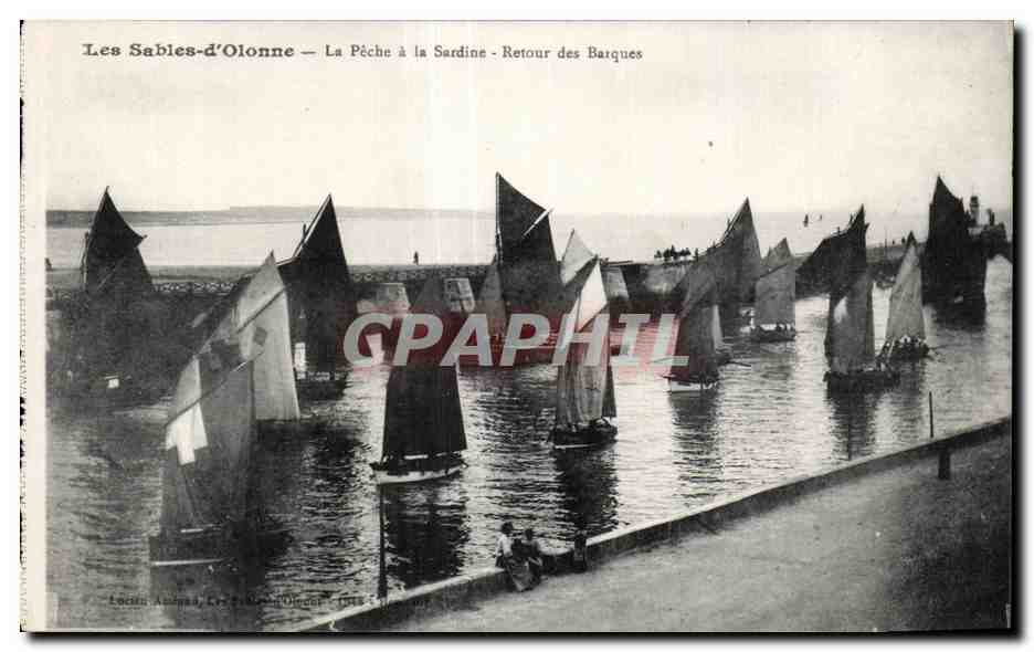 CPA Les Sables d Olonne La Peche a la Sardine Bateaux 